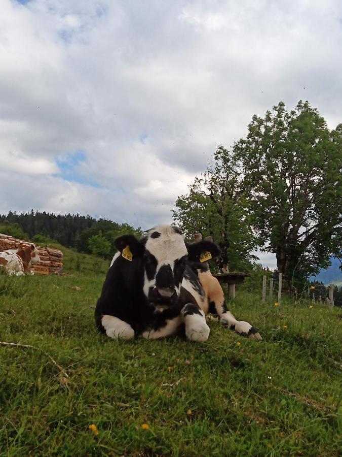 Haus Schwarzeck Lägenhet Ramsau bei Berchtesgaden Exteriör bild